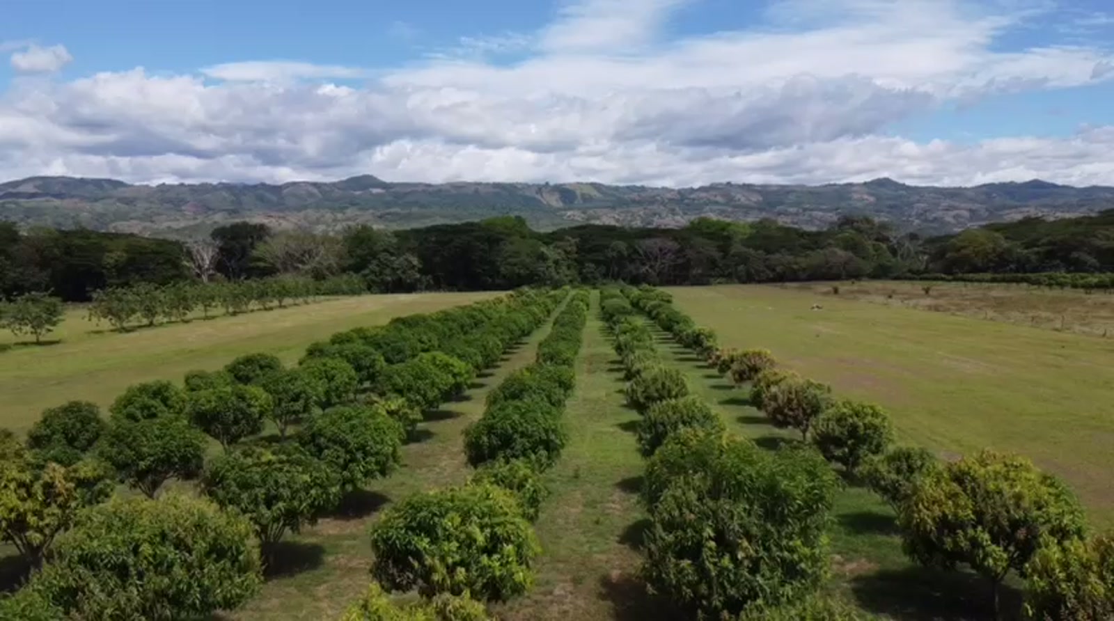 Finca Armero Guayabal